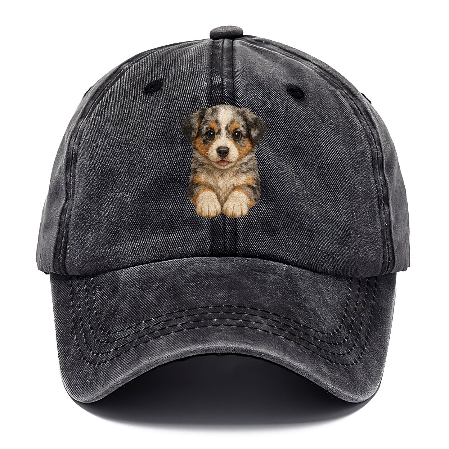 Baby Australian Shepherd Puppy - merle coat, bright eyes, fluffy, front-facing, smart - Classic Cap - Graphite