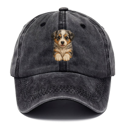 Baby Australian Shepherd Puppy - merle coat, bright eyes, fluffy, front-facing, smart - Classic Cap - Graphite