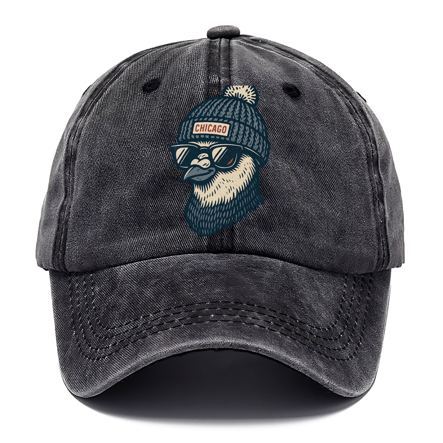 Chicago Pigeon wearing Chicago beanie with pom pom and wayfarer sunglasses - Classic Cap - Graphite