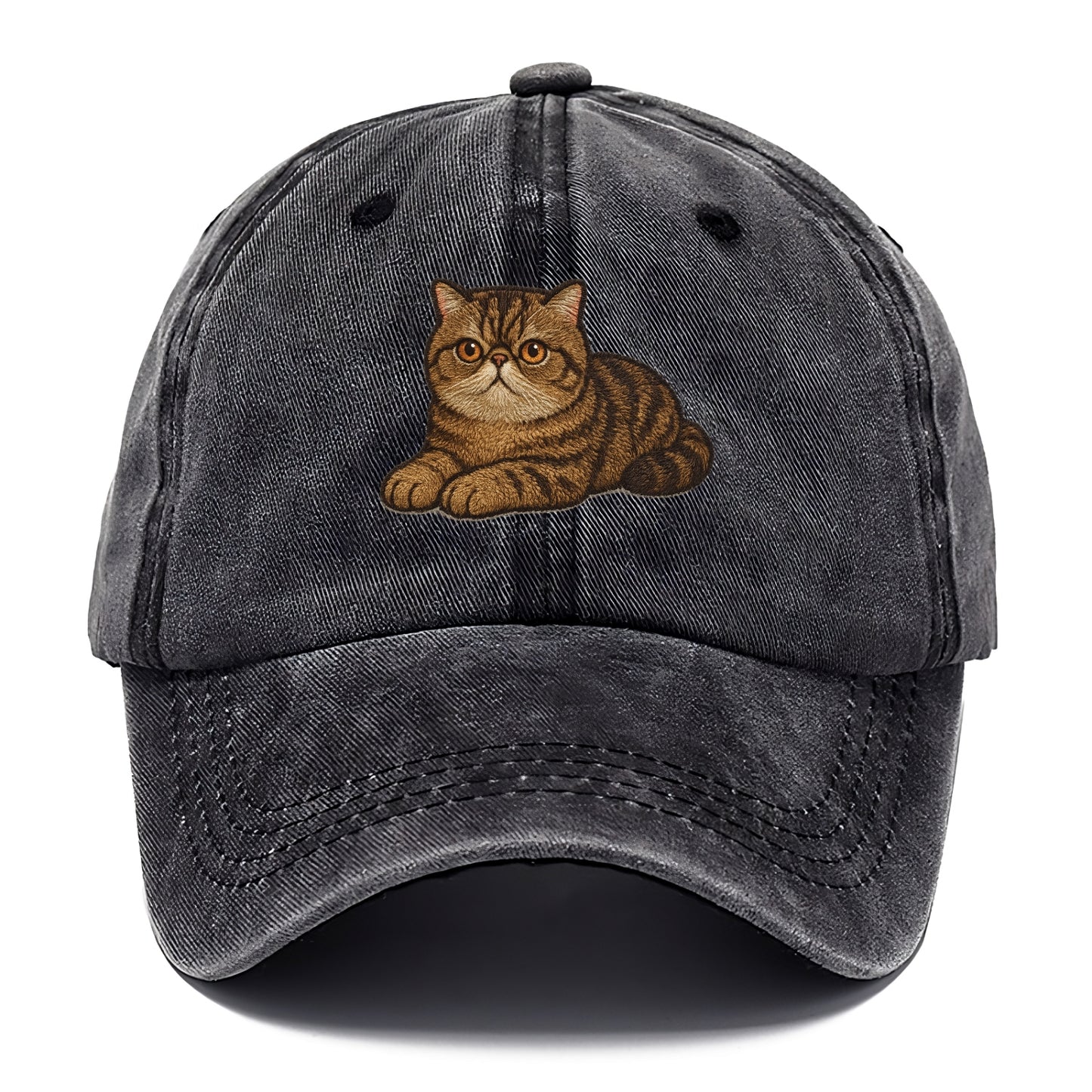 Exotic Shorthair  relaxed lying down wit Classic Cap - Graphite