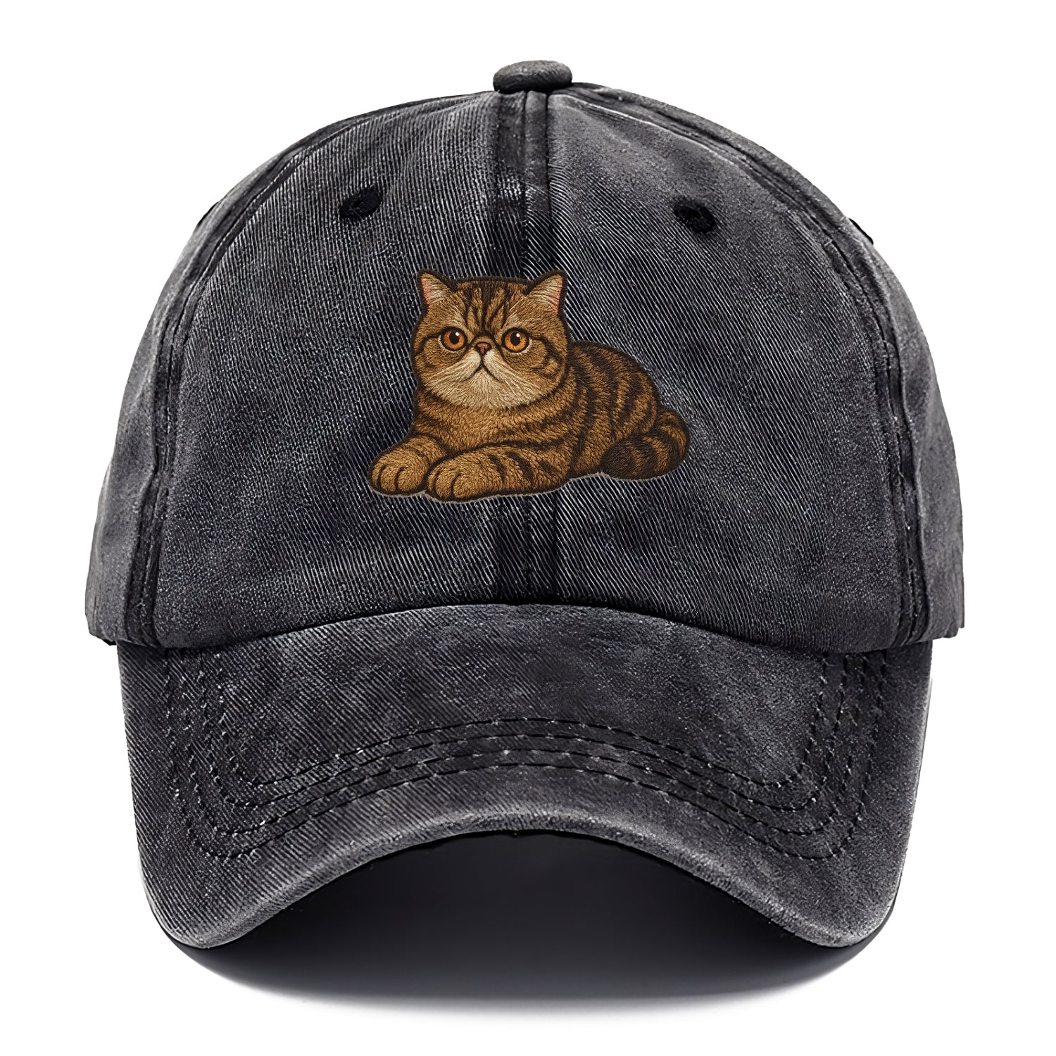 Exotic Shorthair  relaxed lying down wit Classic Cap - Graphite