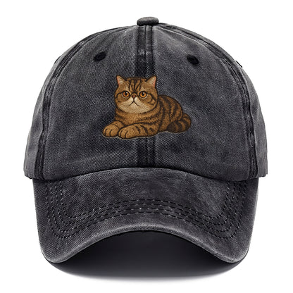 Exotic Shorthair  relaxed lying down wit Classic Cap - Graphite