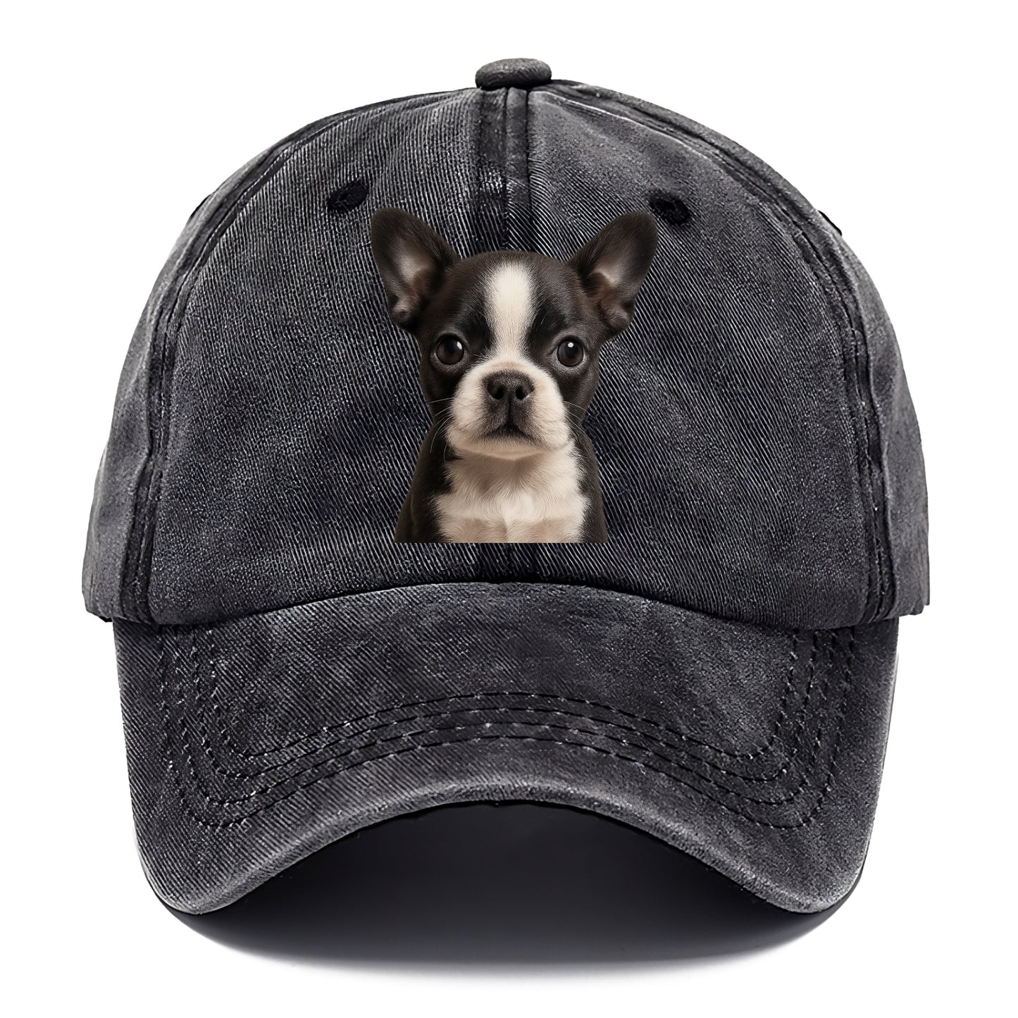 Baby Boston Terrier Puppy - tuxedo markings, big round eyes, bat ears, front-facing, - Classic Cap - Graphite