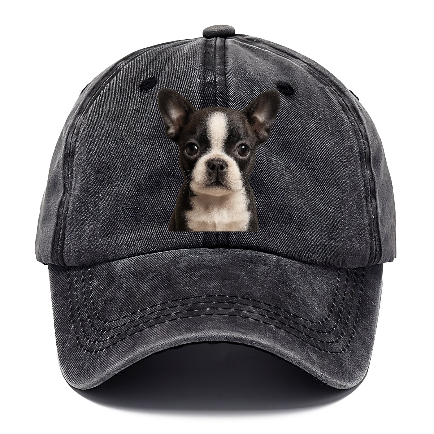 Baby Boston Terrier Puppy - tuxedo markings, big round eyes, bat ears, front-facing, - Classic Cap - Graphite