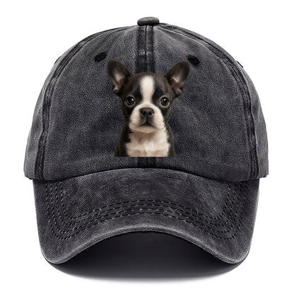 Baby Boston Terrier Puppy - tuxedo markings, big round eyes, bat ears, front-facing, - Classic Cap - Graphite