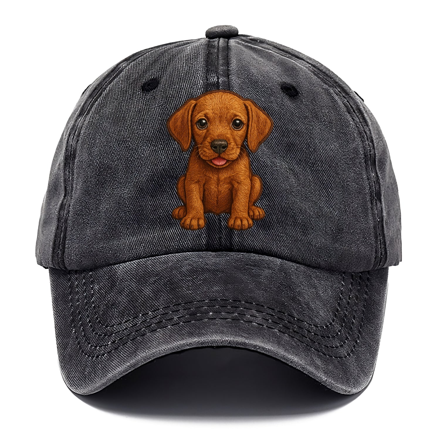 Baby Vizsla Puppy - golden rust coat, soulful eyes, athletic build, front-facing, - Classic Cap - Graphite