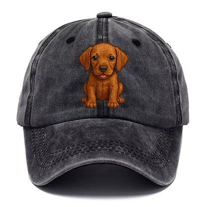 Baby Vizsla Puppy - golden rust coat, soulful eyes, athletic build, front-facing, - Classic Cap - Graphite