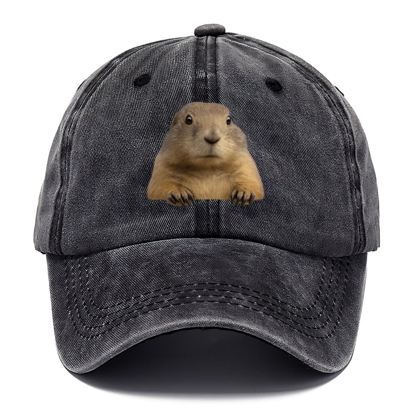 Prairie Dog  - Classic Cap - Graphite