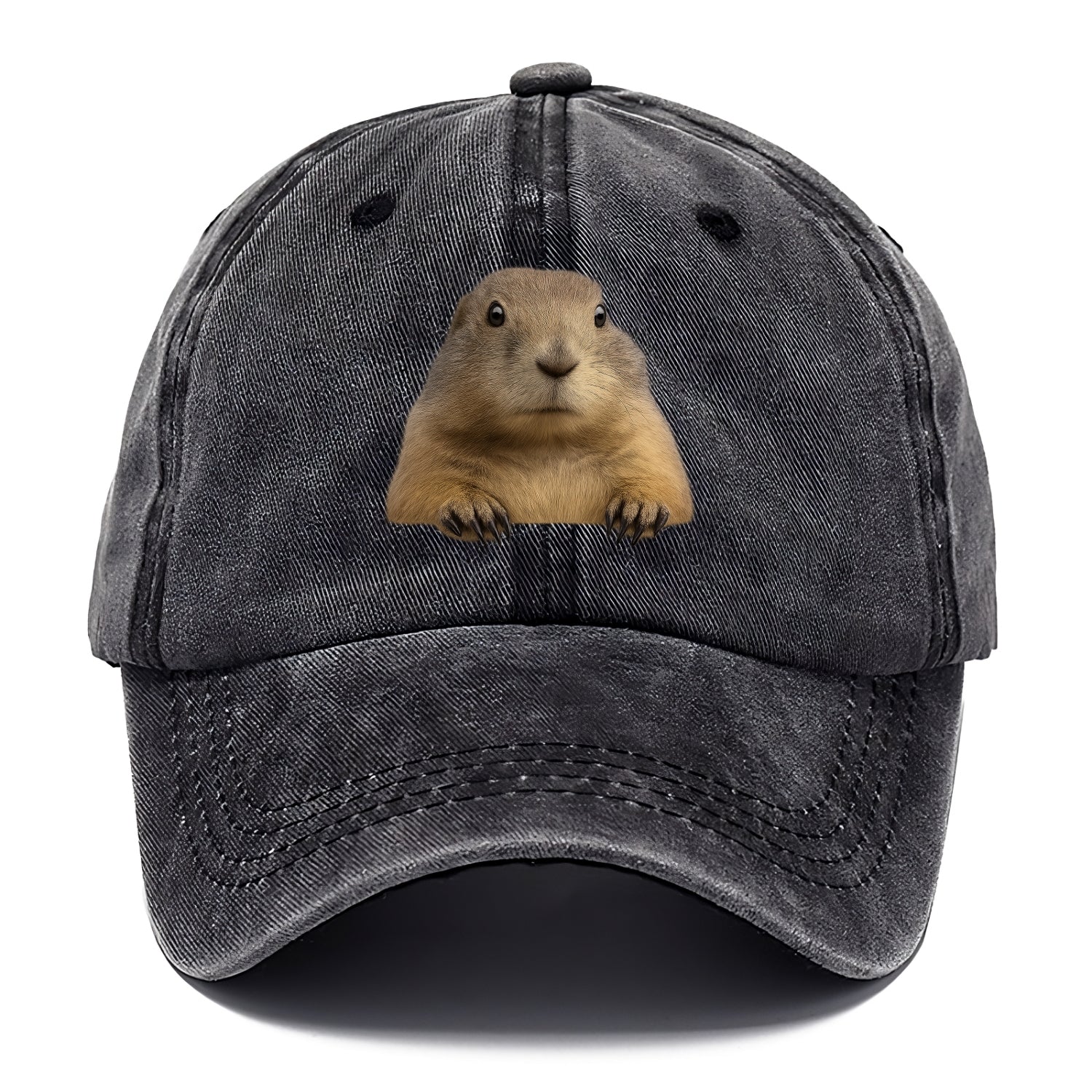 Prairie Dog  - Classic Cap - Graphite