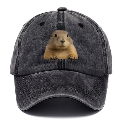 Prairie Dog  - Classic Cap - Graphite