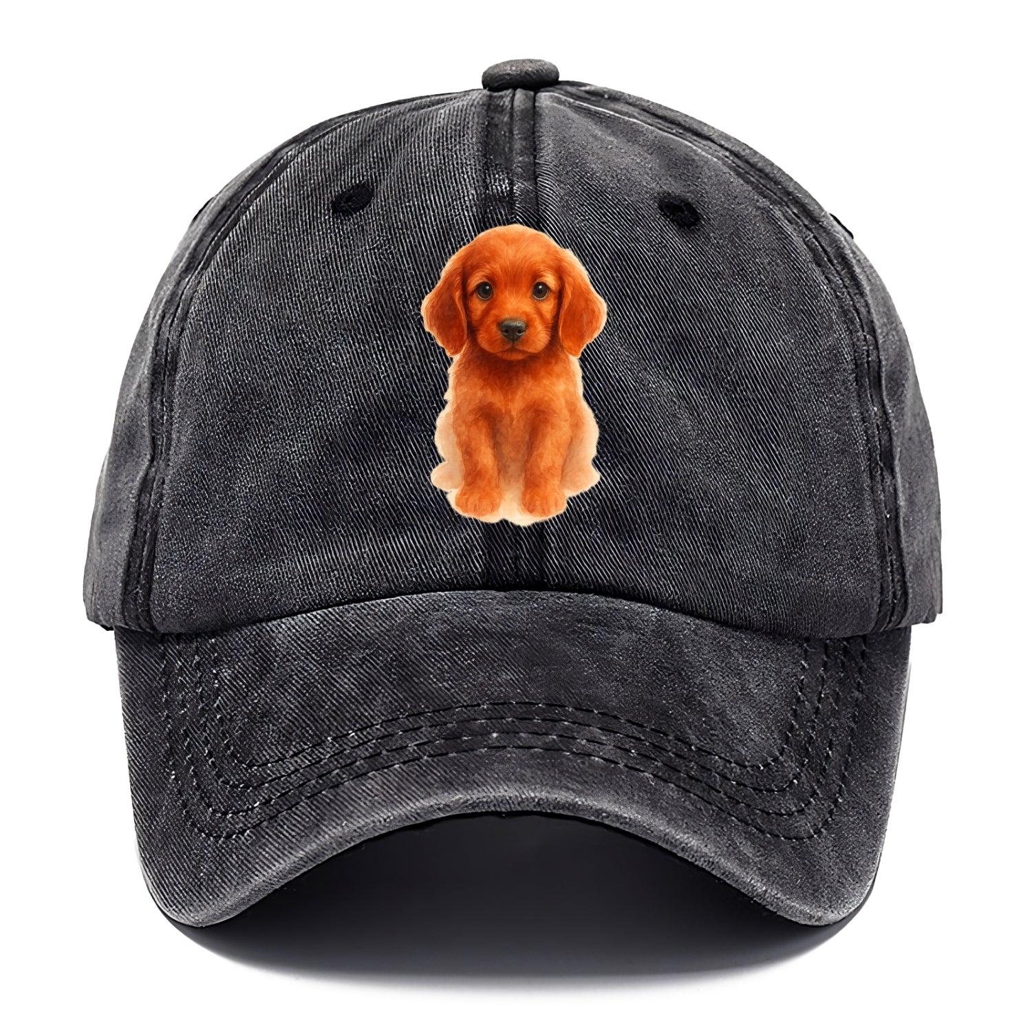 Baby Irish Setter Puppy - mahogany red coat, feathered ears, friendly eyes, - Classic Cap - Graphite