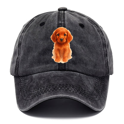Baby Irish Setter Puppy - mahogany red coat, feathered ears, friendly eyes, - Classic Cap - Graphite