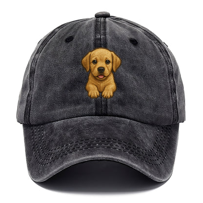Baby Labrador Retriever Puppy - yellow/black/chocolate, soulful eyes, soft ears, - Classic Cap - Graphite