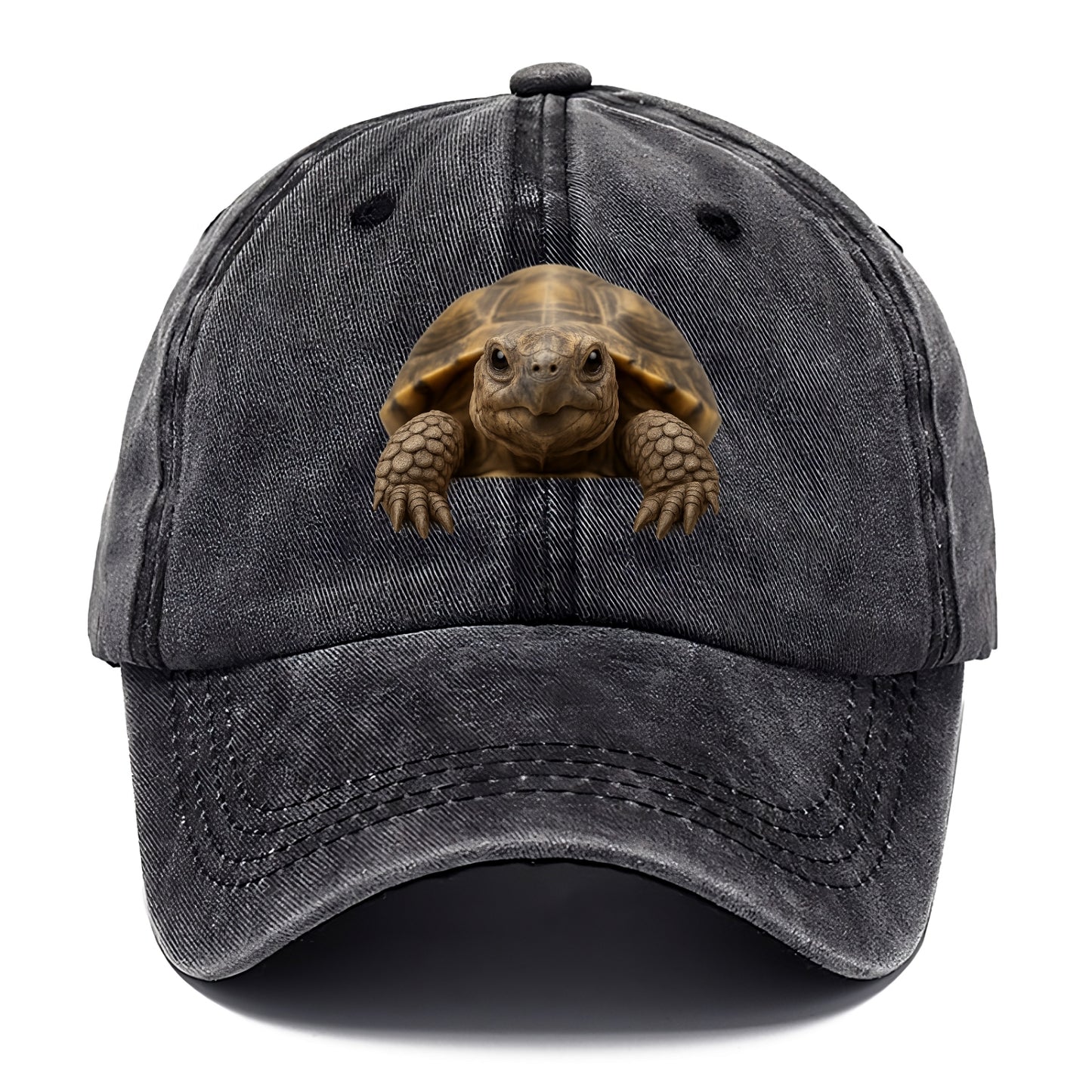 Tortoise  - Classic Cap - Graphite