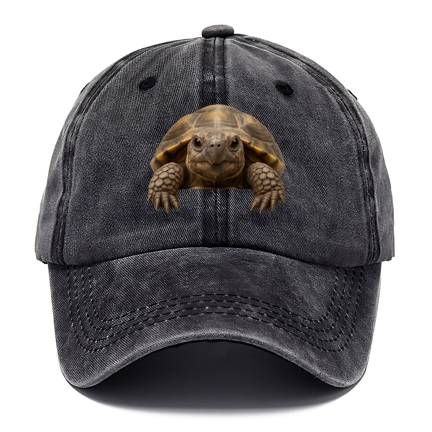 Tortoise  - Classic Cap - Graphite