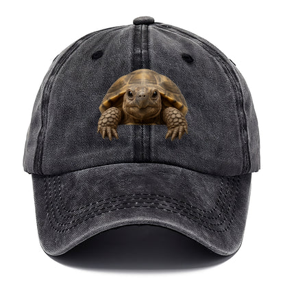 Tortoise  - Classic Cap - Graphite