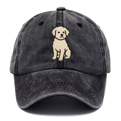 Maltipoo - White curly sitting pose - Classic Cap - Graphite