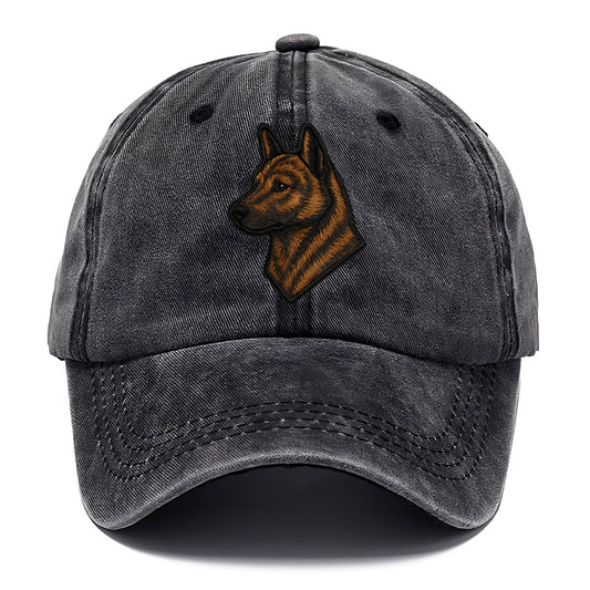 Kai Ken - Modern tiger dog logo with bol - Classic Cap - Graphite