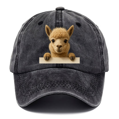 Alpaca  - Classic Cap - Graphite
