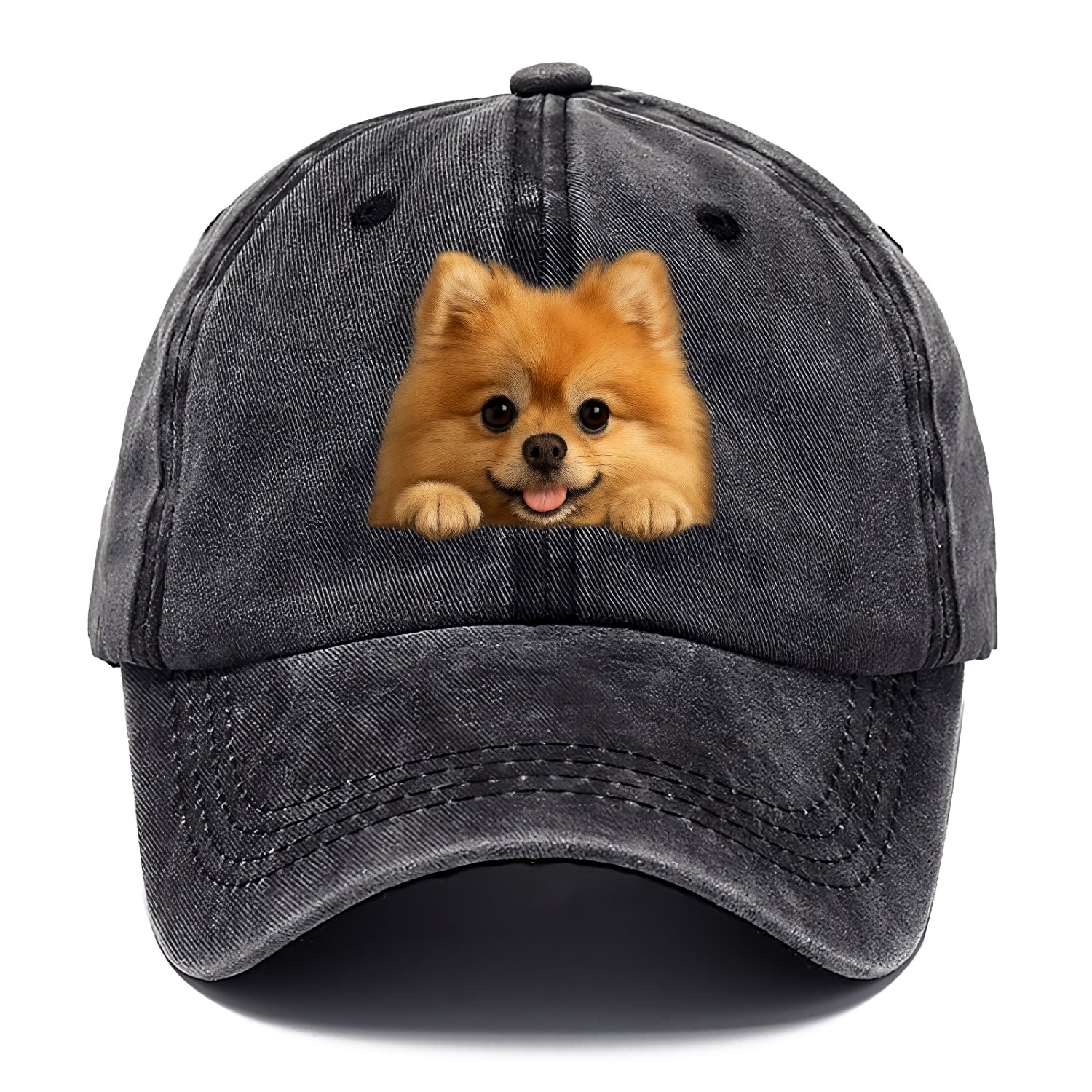 Pomeranian  - Classic Cap - Graphite