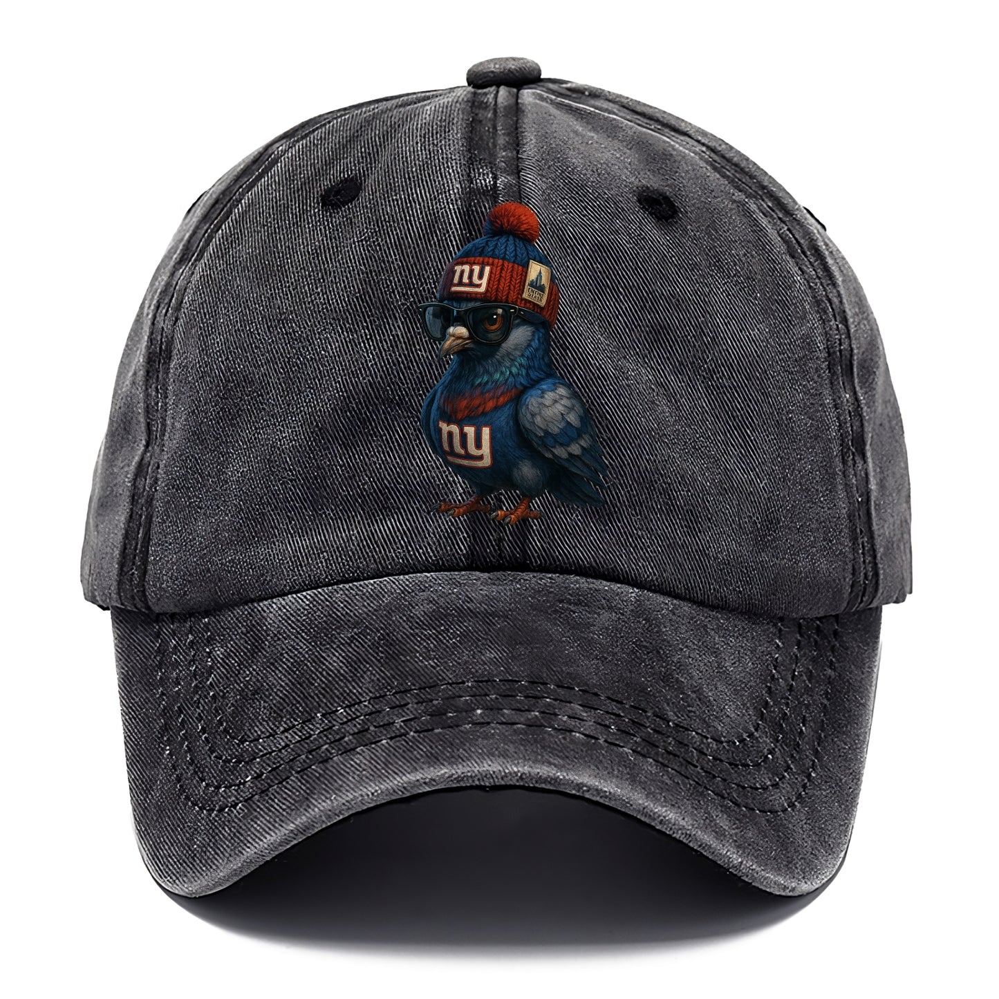 Manhattan Pigeon wearing Giants beanie with Empire State patch and wayfarer sunglasses - Classic Cap - Graphite