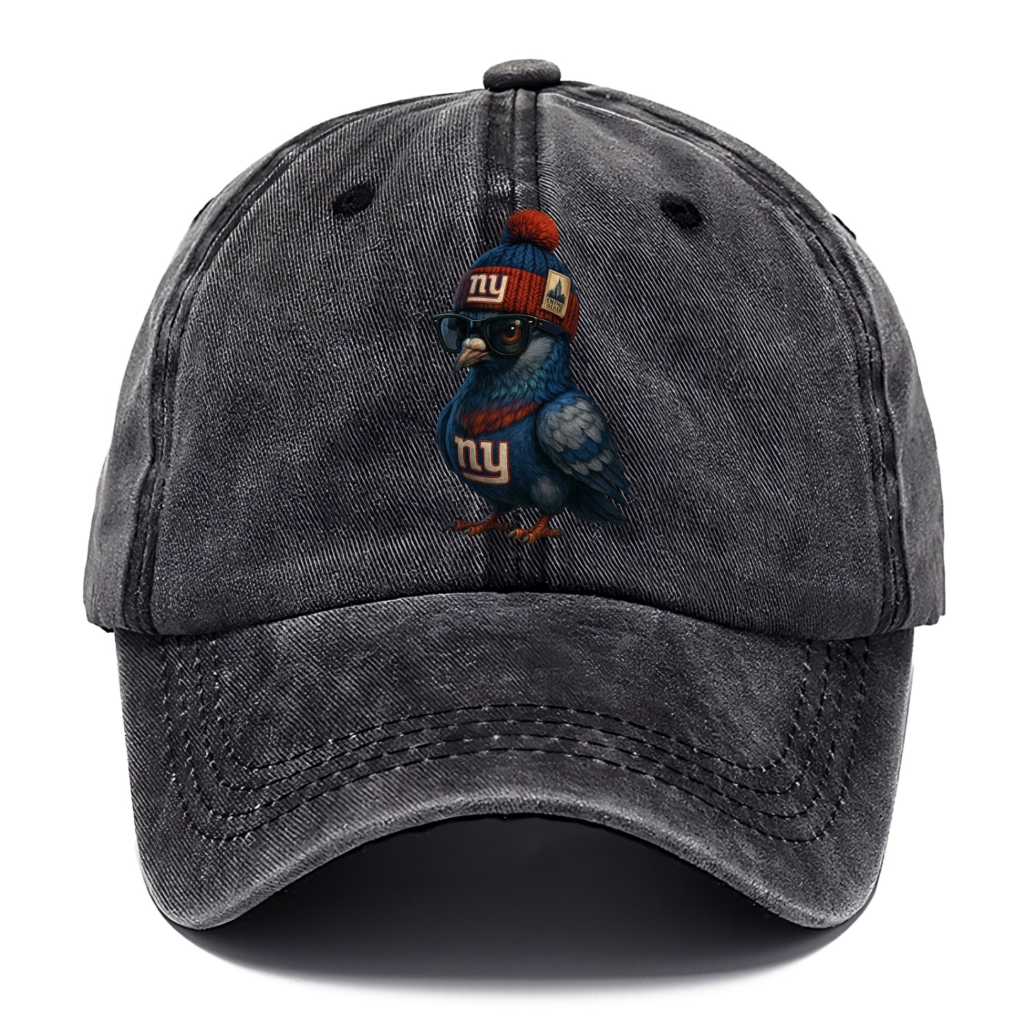 Manhattan Pigeon wearing Giants beanie with Empire State patch and wayfarer sunglasses - Classic Cap - Graphite