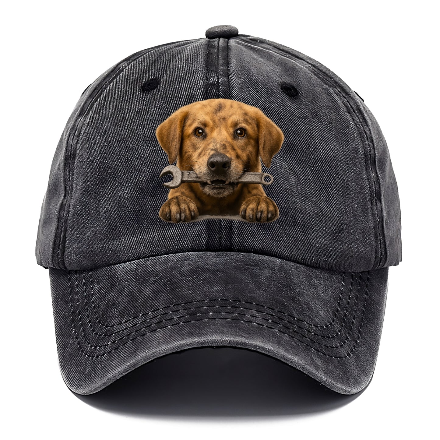 Mechanic Dog  - Classic Cap - Graphite