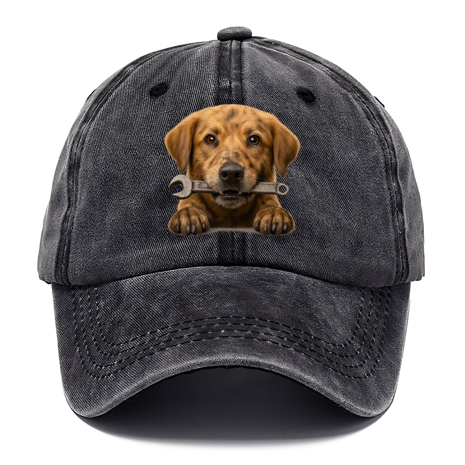 Mechanic Dog  - Classic Cap - Graphite