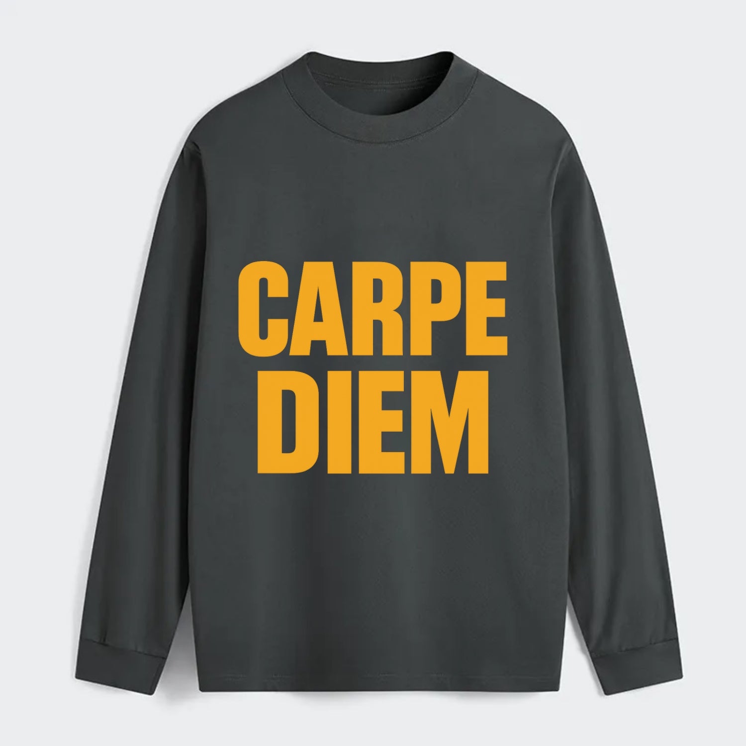 Bold typography design - "CARPE DIEM" - seize the day - Classic Long Sleeve Shirt - Gray