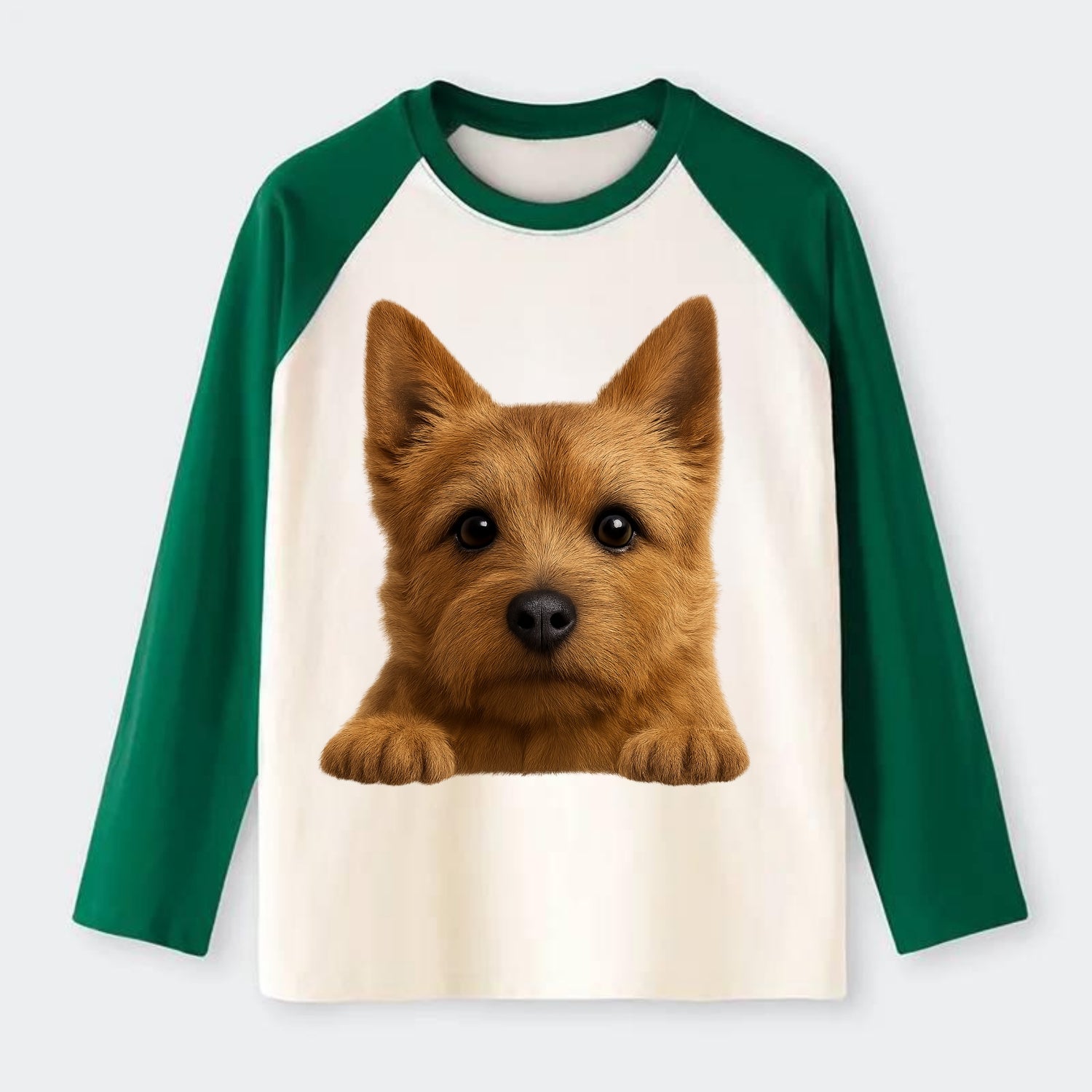 Norwich Terrier  - Raglan Long Sleeve T-Shirt - Green