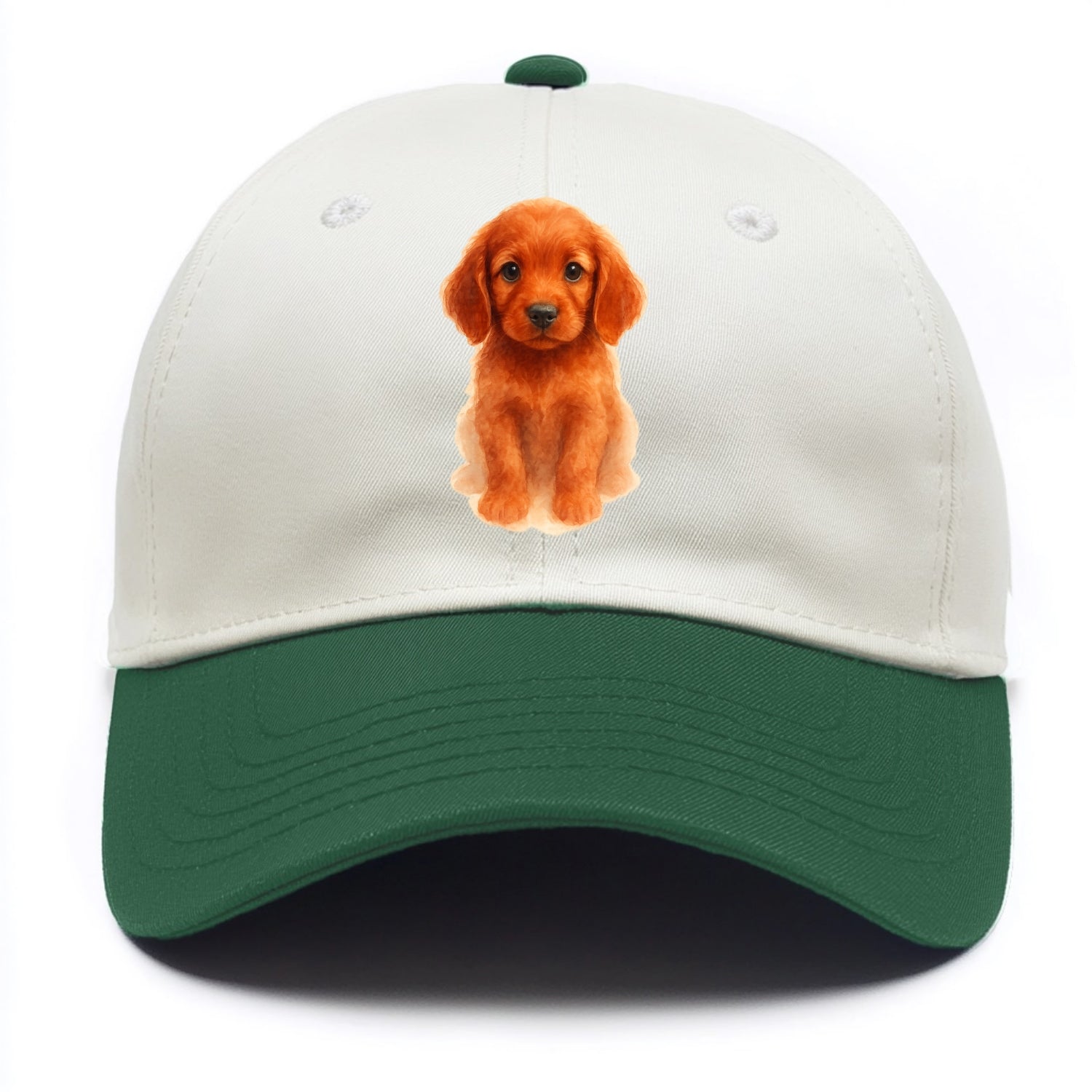 Baby Irish Setter Puppy - mahogany red coat, feathered ears, friendly eyes, - Two Tone Cap - Green