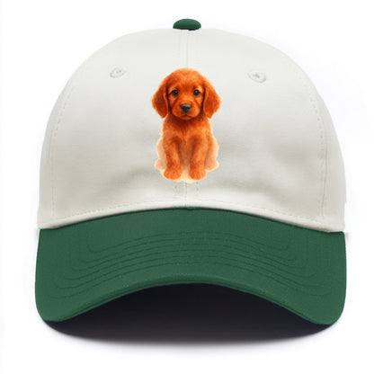 Baby Irish Setter Puppy - mahogany red coat, feathered ears, friendly eyes, - Two Tone Cap - Green
