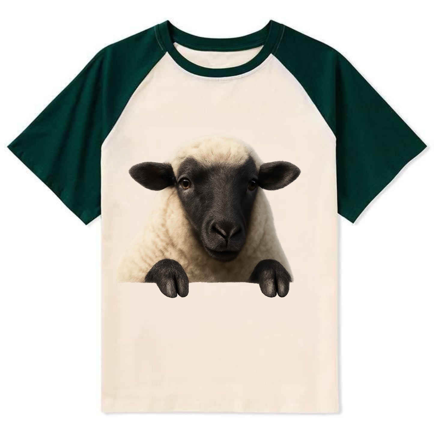 Sheep  - Contrast Raglan T-shirt - Green
