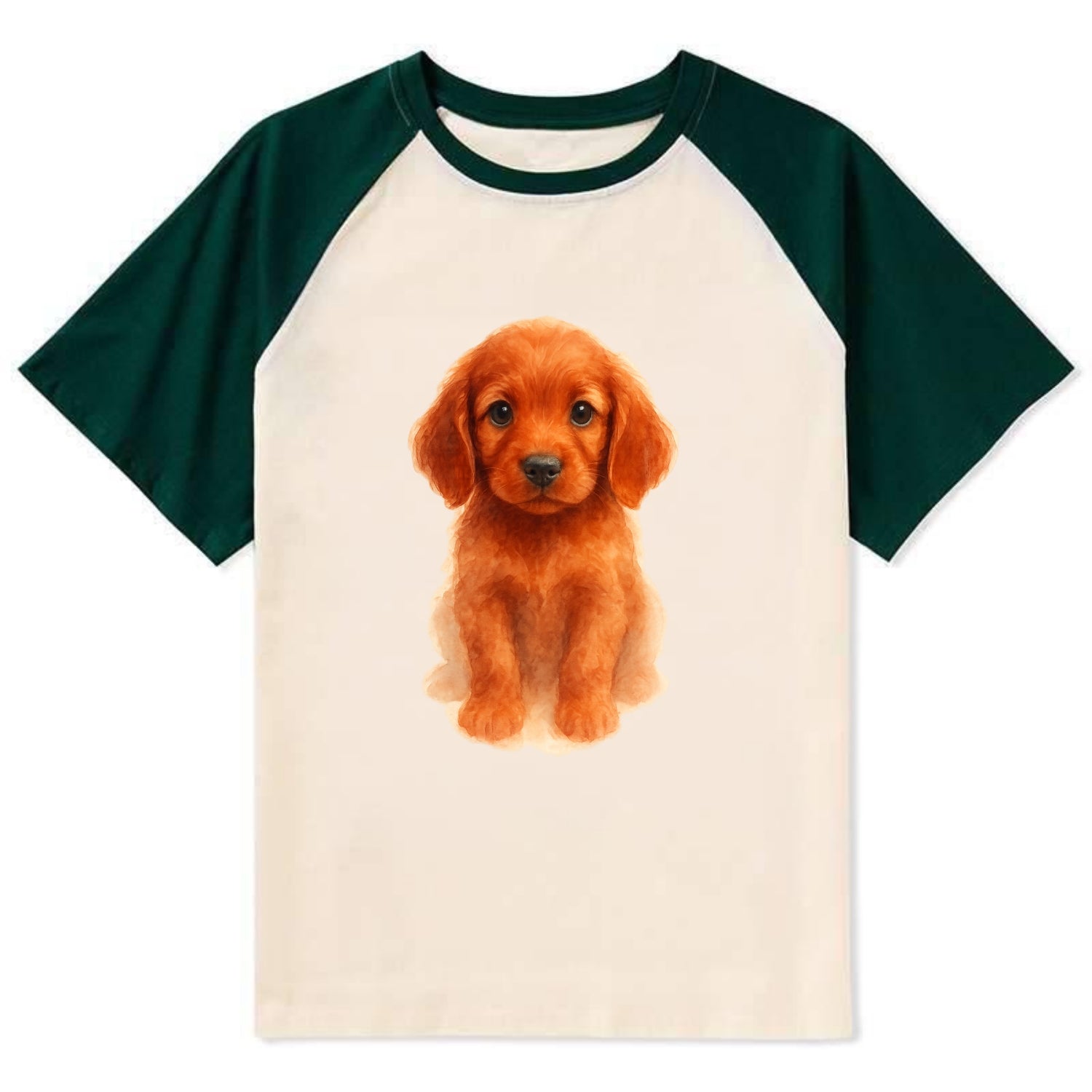 Baby Irish Setter Puppy - mahogany red coat, feathered ears, friendly - Contrast Raglan T-shirt - Green