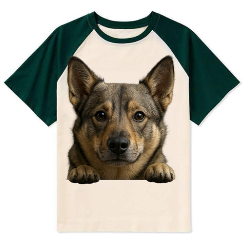 Swedish Vallhund  - Contrast Raglan T-shirt