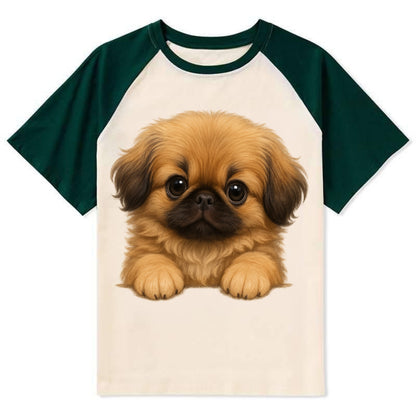 Pekingese  - Contrast Raglan T-shirt - Green