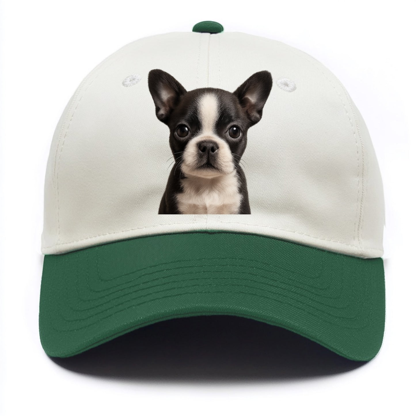 Baby Boston Terrier Puppy - tuxedo markings, big round eyes, bat ears, front-facing, - Two Tone Cap - Green
