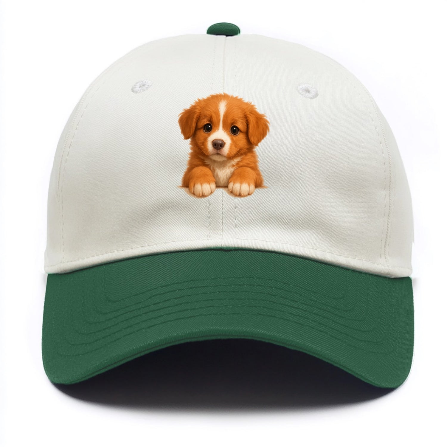 Nova Scotia Duck Tolling Retriever  - Two Tone Cap - Green