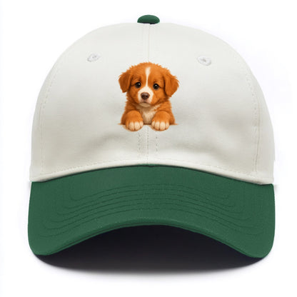 Nova Scotia Duck Tolling Retriever  - Two Tone Cap - Green
