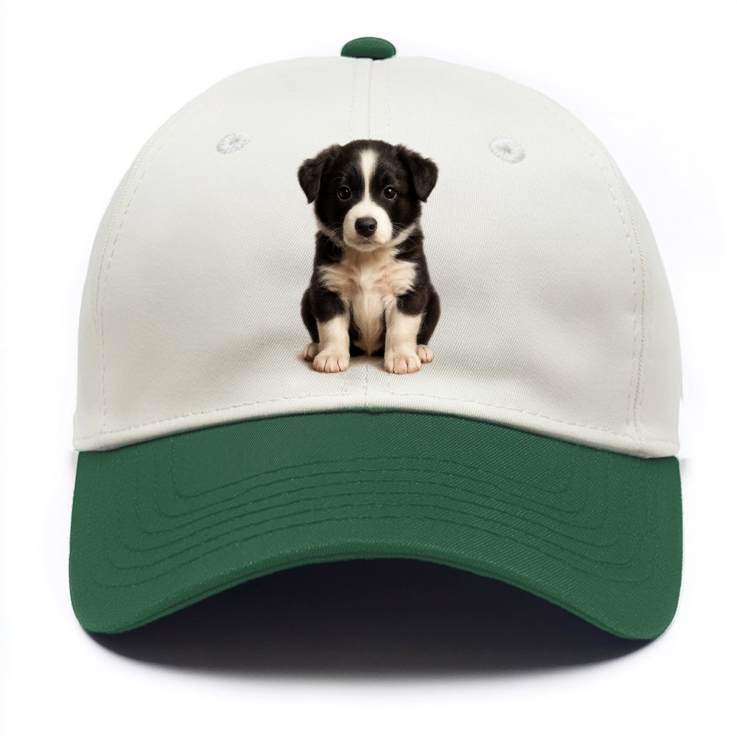 Baby Border Collie Puppy - black and white, intense smart eyes, athletic build, - Two Tone Cap - Green