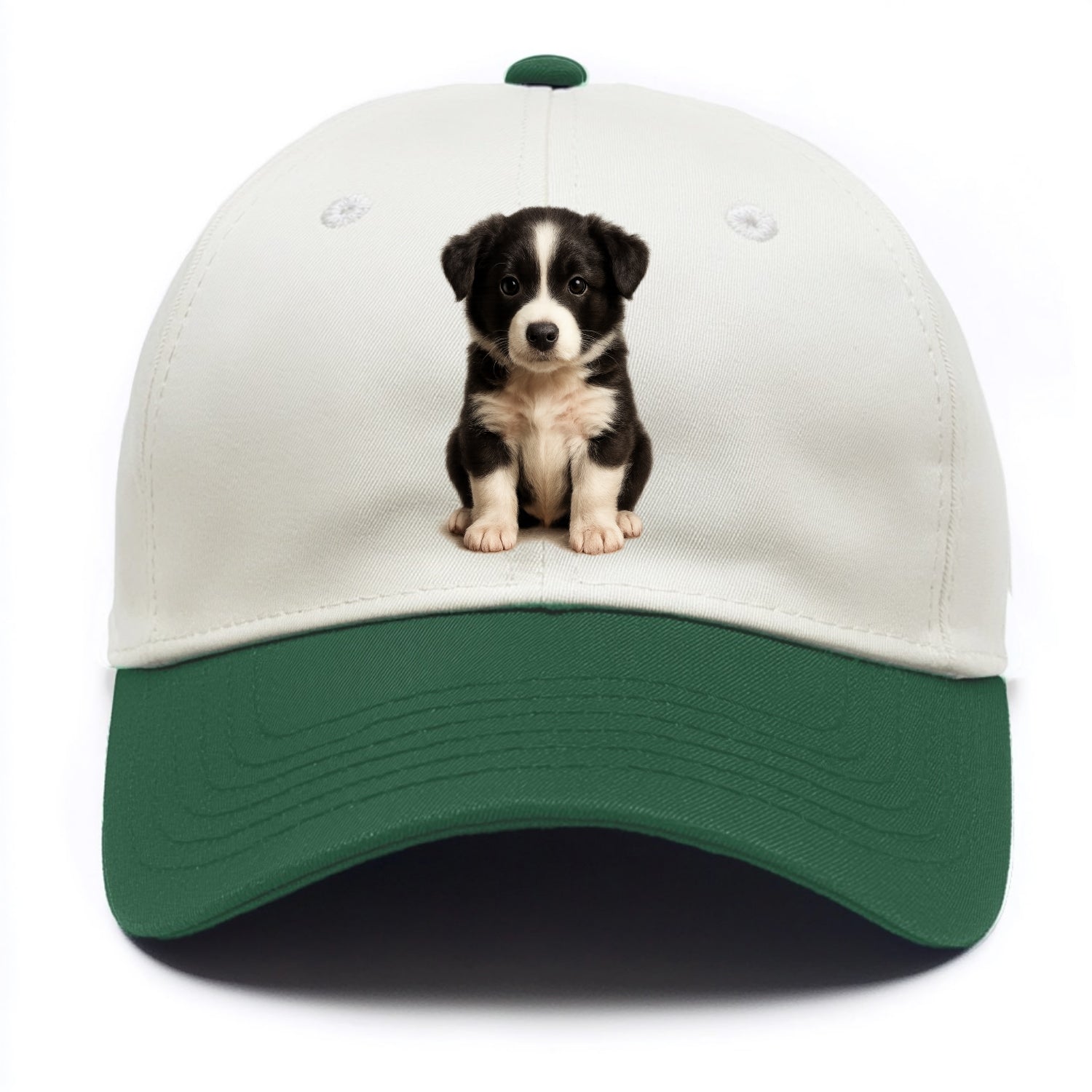 Baby Border Collie Puppy - black and white, intense smart eyes, athletic build, - Two Tone Cap - Green