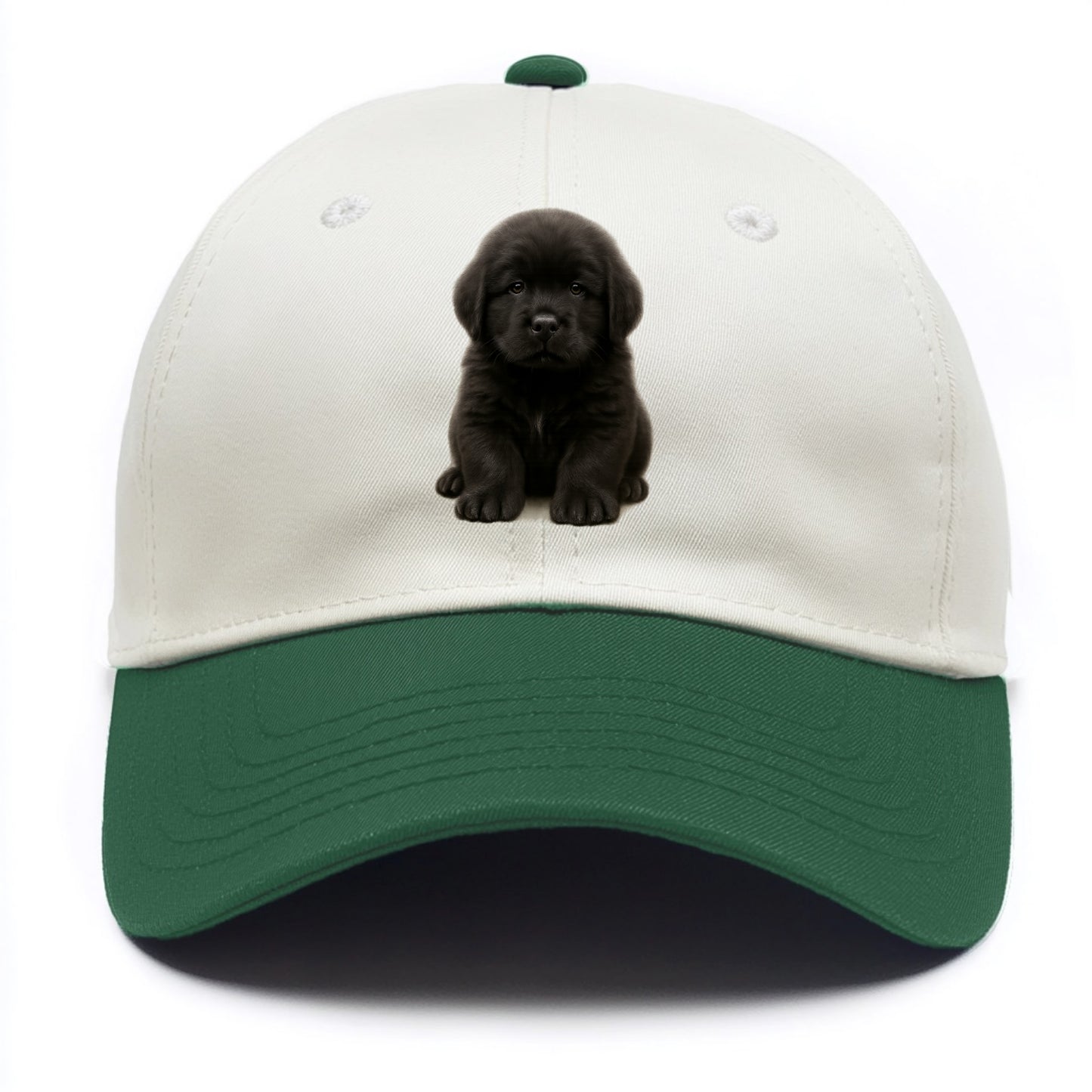 Baby Newfoundland Puppy - giant fluffy black, gentle eyes, webbed paws, - Two Tone Cap - Green