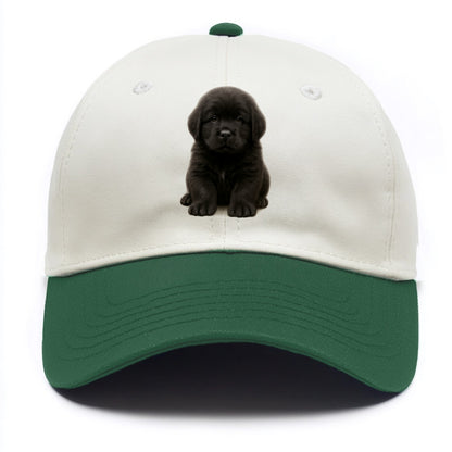Baby Newfoundland Puppy - giant fluffy black, gentle eyes, webbed paws, - Two Tone Cap - Green