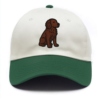 Boykin Spaniel - Rich chocolate brown wavy coat embroidered sitting pose - Two Tone Cap - Green