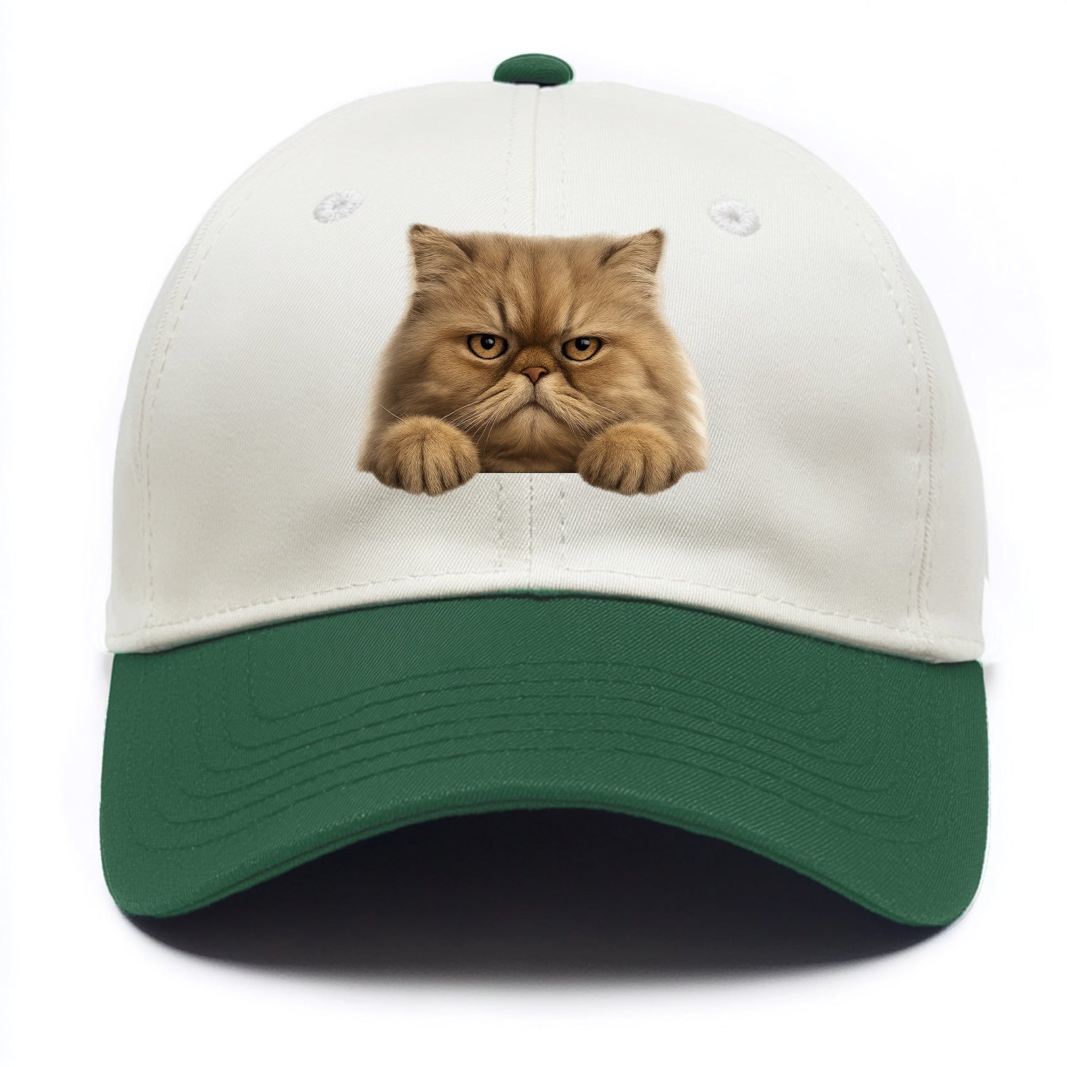 Persian Cat  - Two Tone Cap - Green