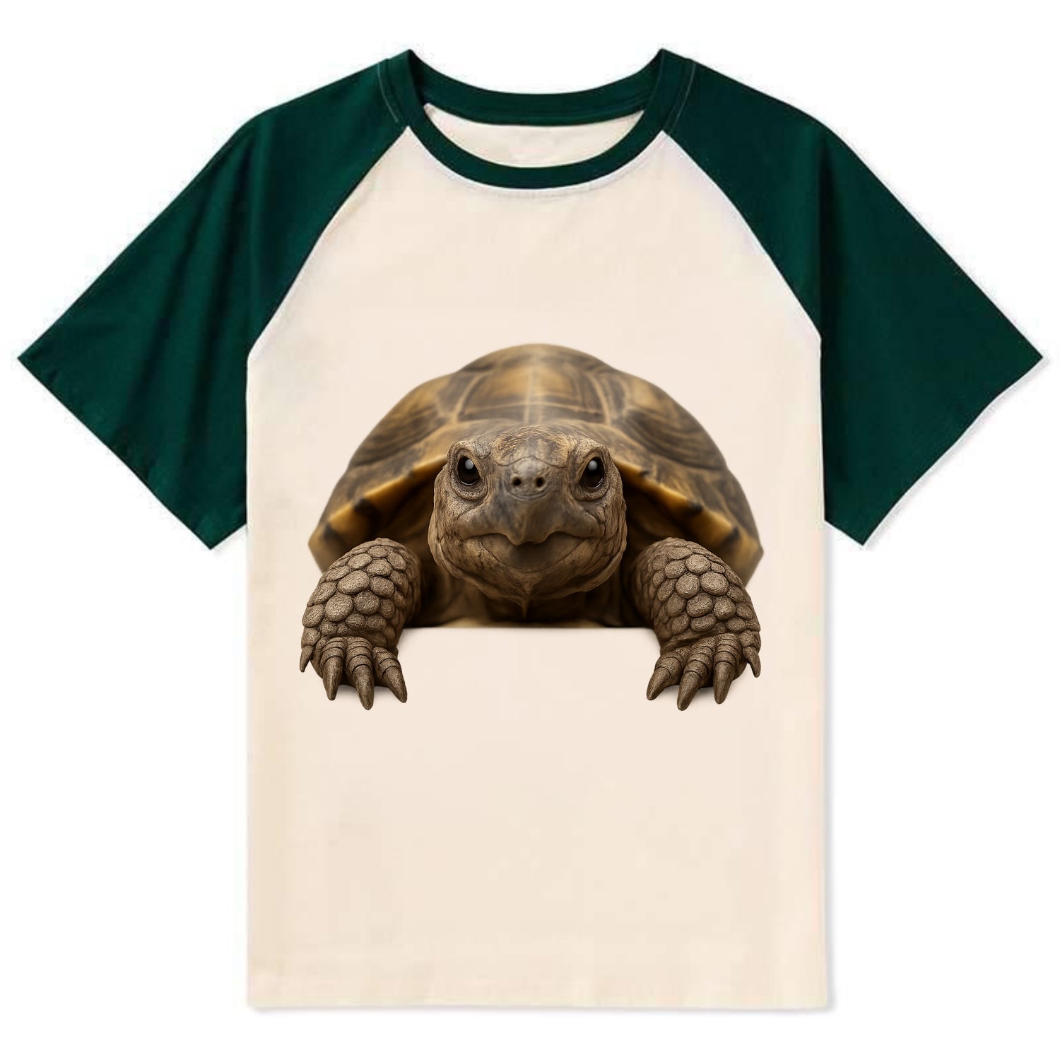 Tortoise  - Contrast Raglan T-shirt - Green