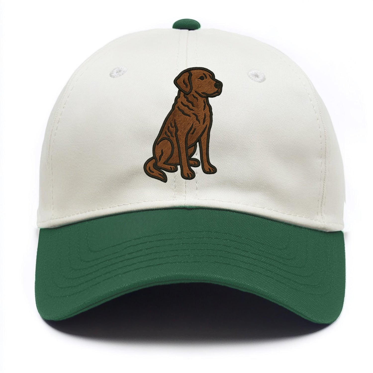 Chesapeake Bay Retriever - Brown wavy coat embroidered sitting pose - Two Tone Cap - Green