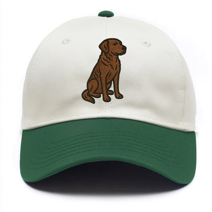 Chesapeake Bay Retriever - Brown wavy coat embroidered sitting pose - Two Tone Cap - Green