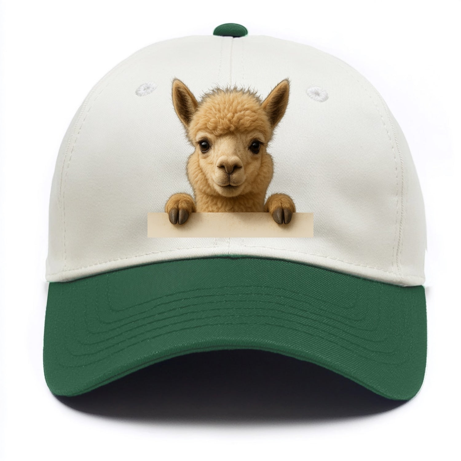Alpaca  - Two Tone Cap - Green