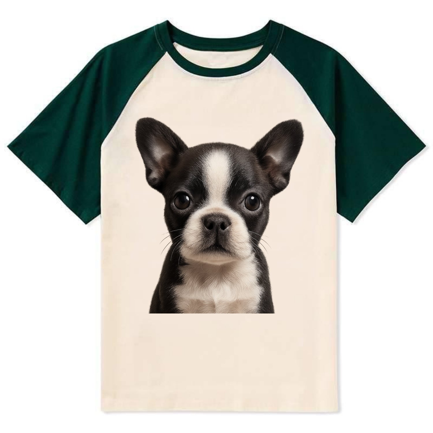 Baby Boston Terrier Puppy - tuxedo markings, big round eyes, bat ears, - Contrast Raglan T-shirt - Green